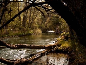 Tante soluzioni di svago .... dentro e fuori Villa Tina - Vacanze da sogno in Abruzzo